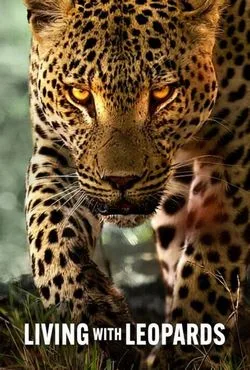 دانلود فیلم Living with Leopards 2024 (زندگی با پلنگ ها)